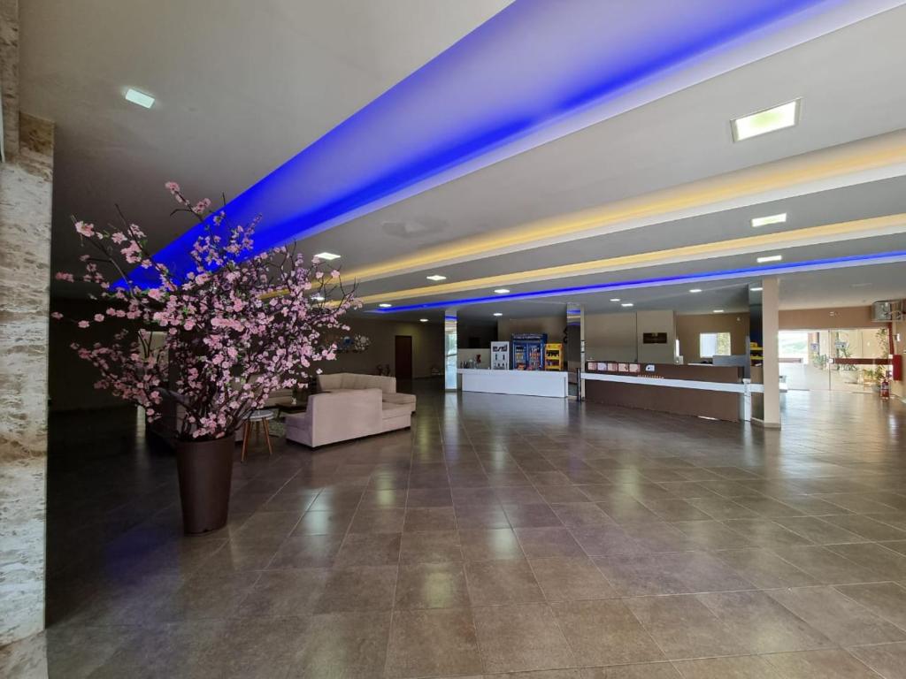 Capa de Hotel Lacazzona